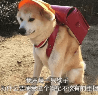 数据资产目录建设之数据分类全解! 数据资产目录建设之数据分类全解!