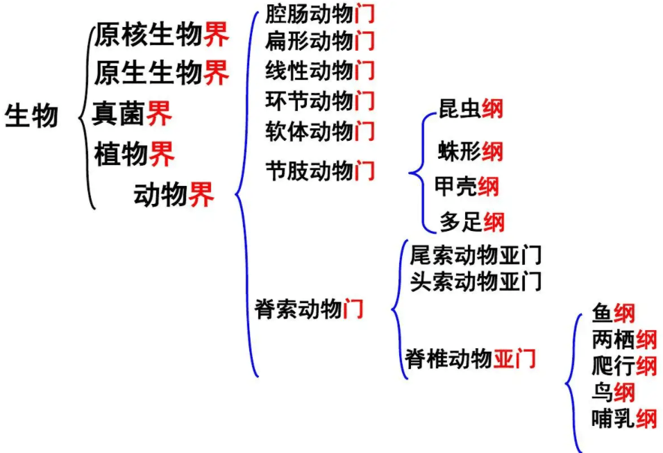 数据资产目录建设之数据分类全解! 数据资产目录建设之数据分类全解!